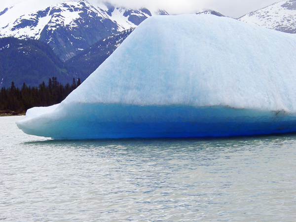 Iceberg on the Stikine River